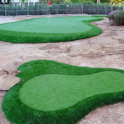 Golf Putting Greens Ocotillo California Fake Turf Back Yard