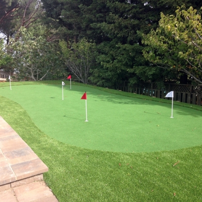 Putting Greens Desert Shores California Fake Grass Dogs