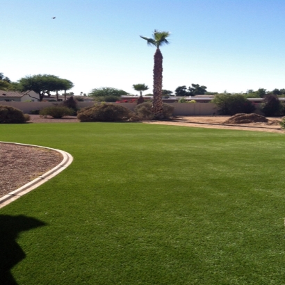 Synthetic Grass Eucalyptus Hills California Landscape Front