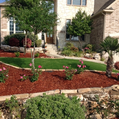 Synthetic Grass Jamul California Lawn Dogs Park Back Yard