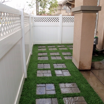 Synthetic Turf Mentone California Landscape Back Yard