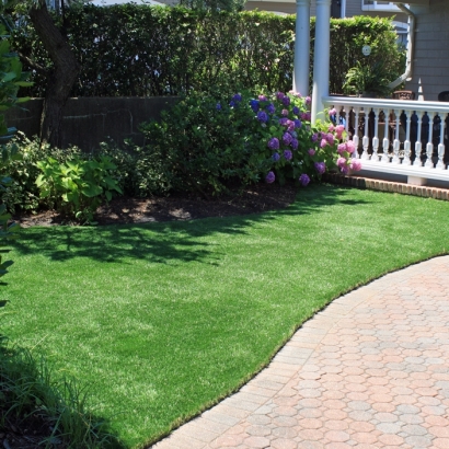 Synthetic Turf Santee California Lawn