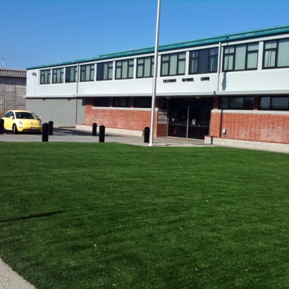 Synthetic Turf Winter Gardens California Lawn Back Yard