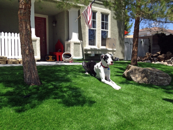 Artificial Animal Shelter Anza California Installation Pools