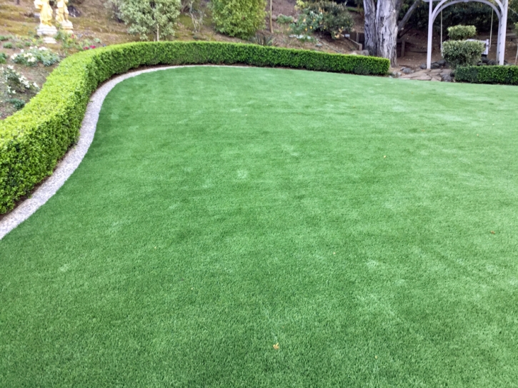 Artificial Grass Artesia California Lawn