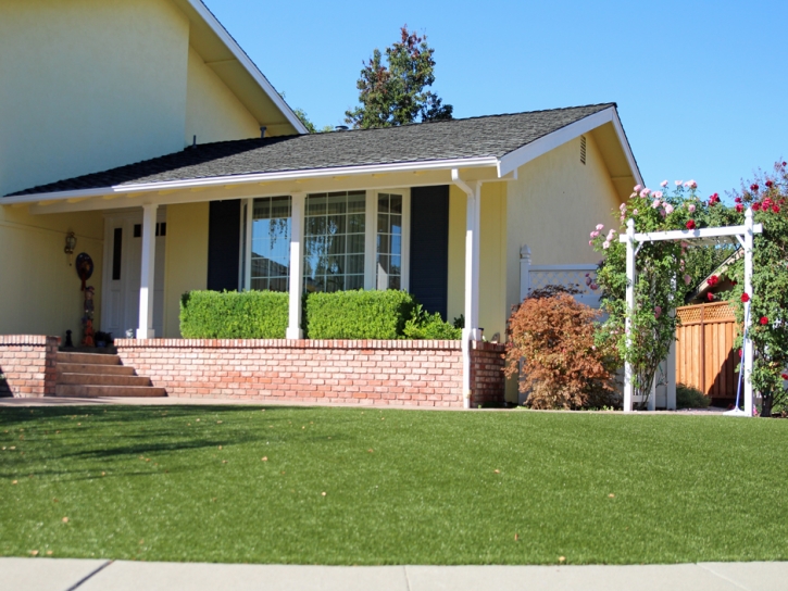 Artificial Grass Bloomington California Lawn Fountans Back