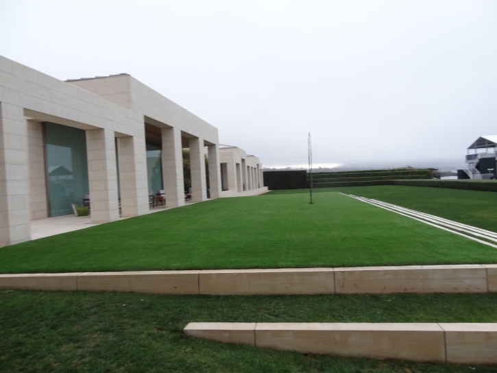 Artificial Grass Bonita California Landscape