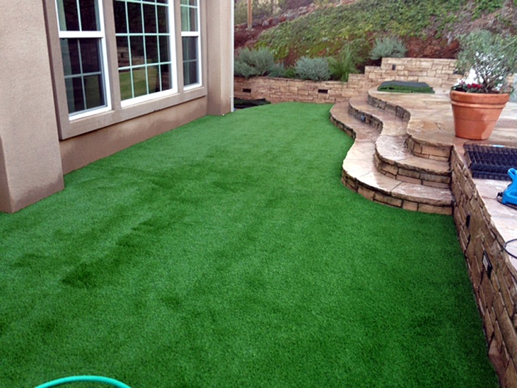 Artificial Grass Desert Hot Springs California Landscape