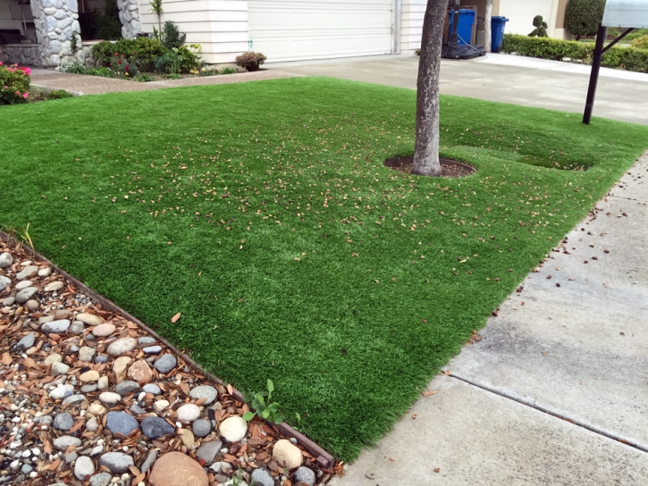 Artificial Grass Glen Avon California Lawn Fountans Back