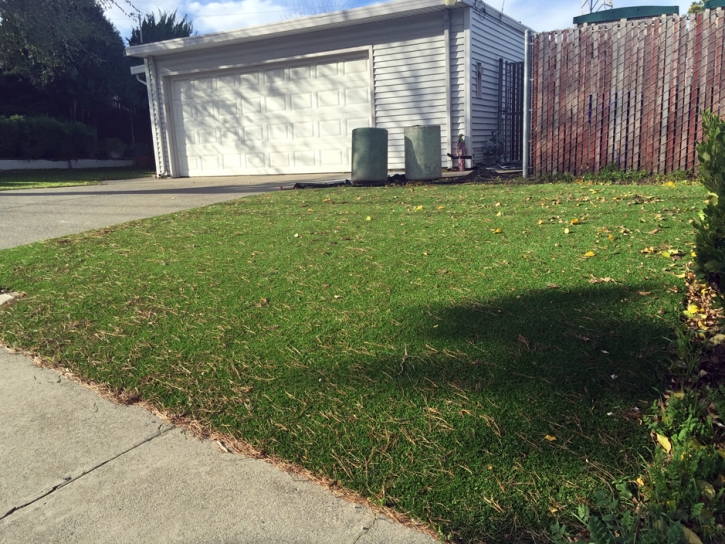 Artificial Grass Indio Hills California Landscape