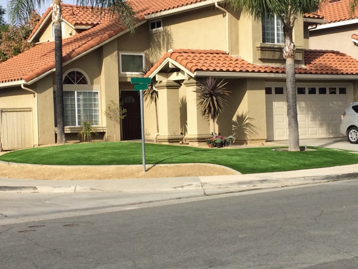 Artificial Grass Oak Glen California Landscape