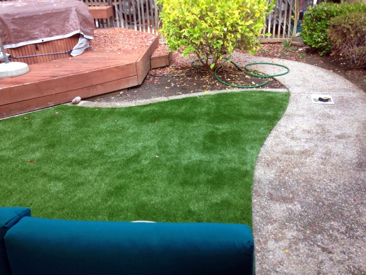 Artificial Grass Placentia California Landscape Front Yard