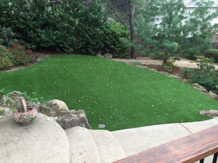 Artificial Grass Signal Hill California Lawn