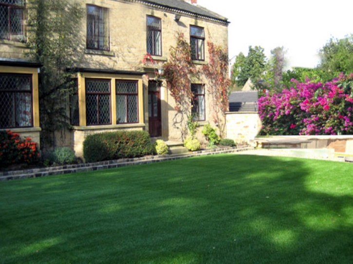 Artificial Grass Thousand Palms California Landscape Back