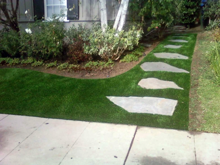 Artificial Turf Banning California Lawn Back Yard