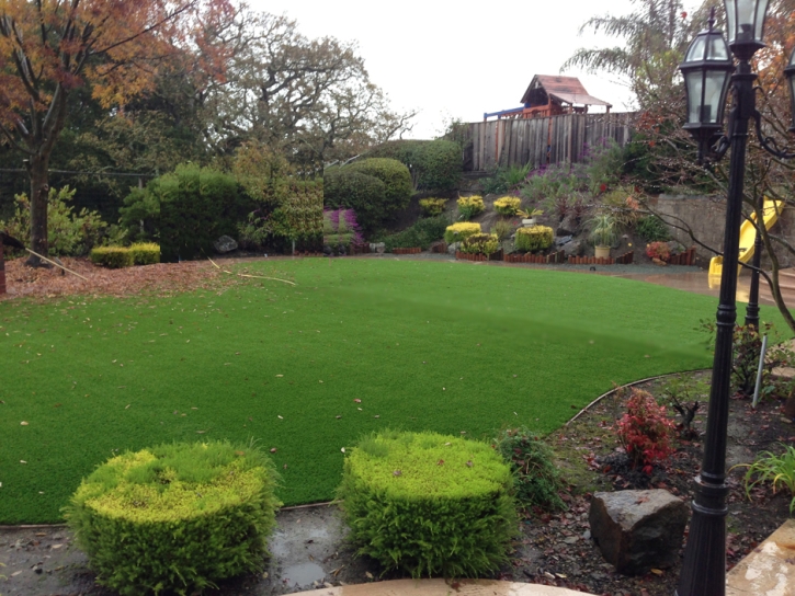 Artificial Turf Beaumont California Landscape Back Yard