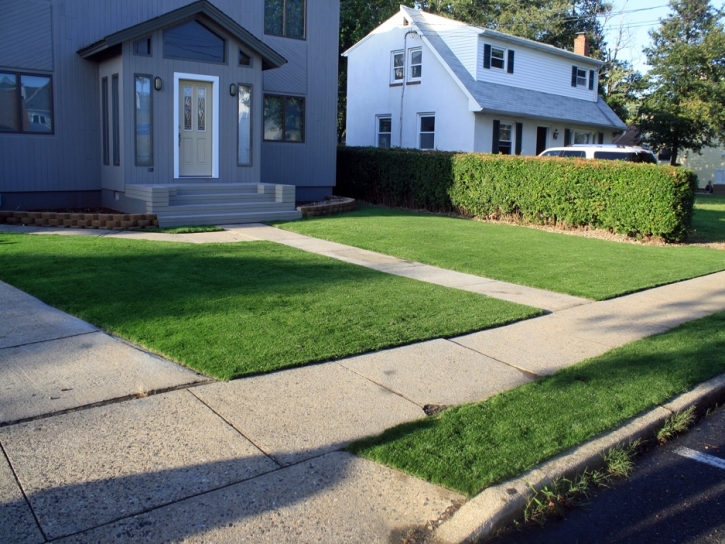 Artificial Turf Cabazon California Landscape Back Yard