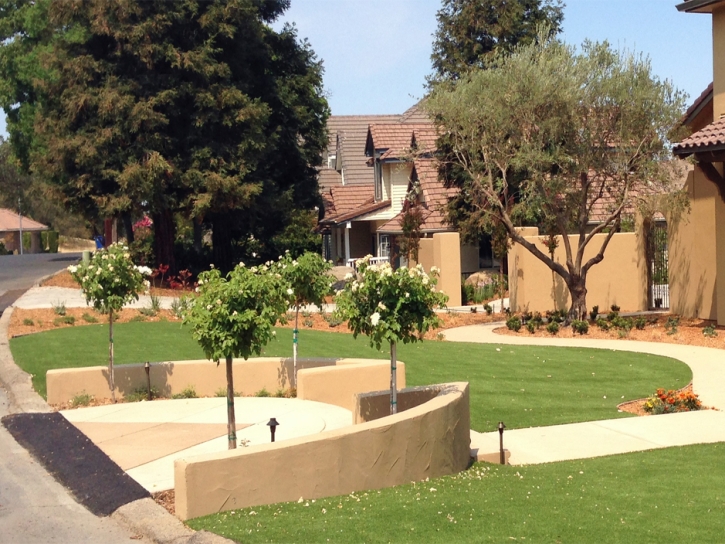 Artificial Turf Chino California Lawn Back Yard