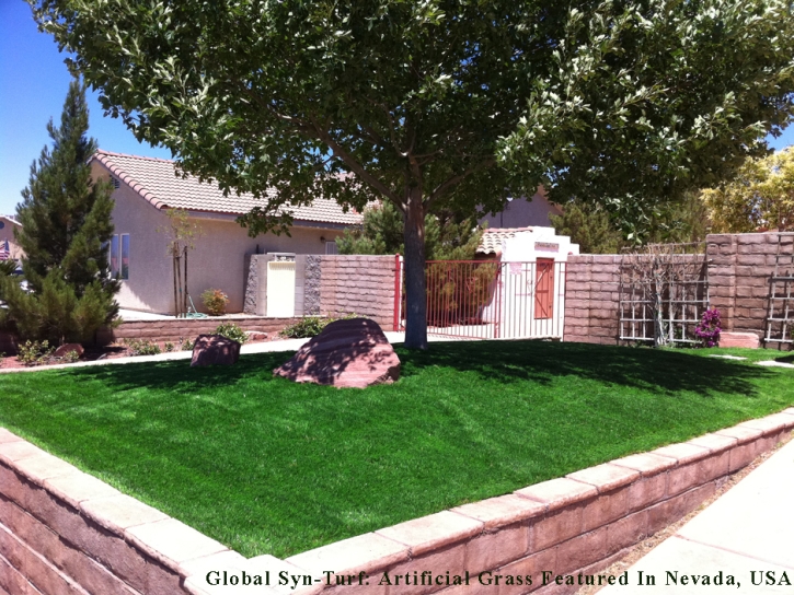 Artificial Turf Chula Vista California Landscape