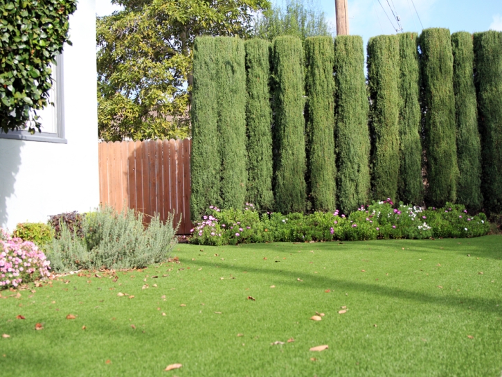 Artificial Turf Grand Terrace California Landscape Front