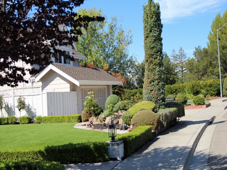 Artificial Turf Heber California Lawn Back Yard