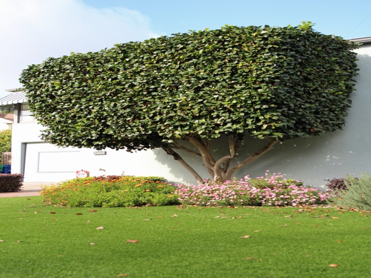 Artificial Turf Loma Linda California Lawn