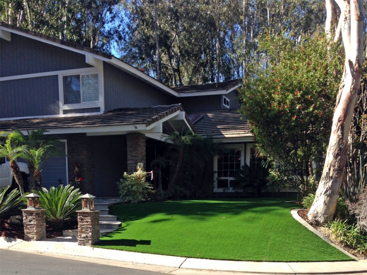 Artificial Turf Los Alamitos California Landscape Front