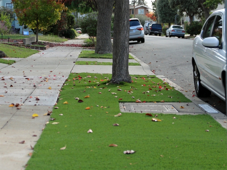 Artificial Turf Mortmar California Lawn Front Yard