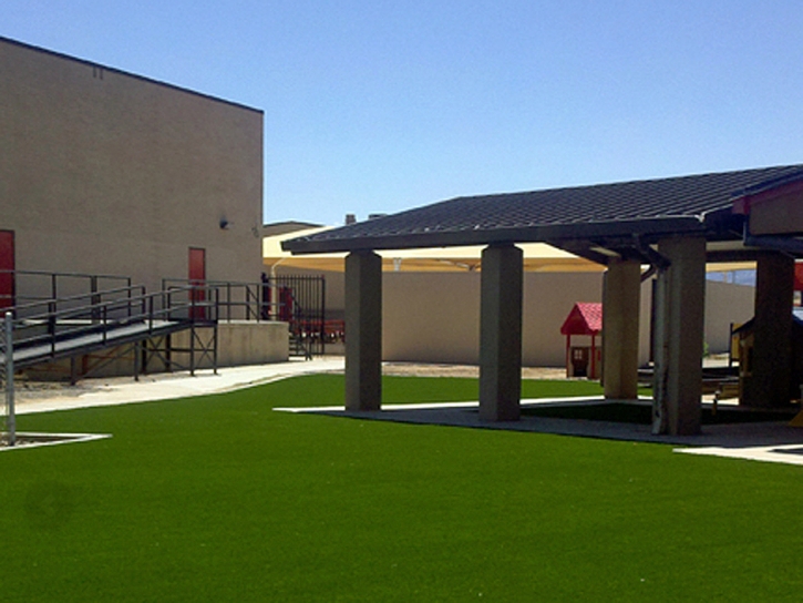 Artificial Turf Placentia California Landscape Commercial