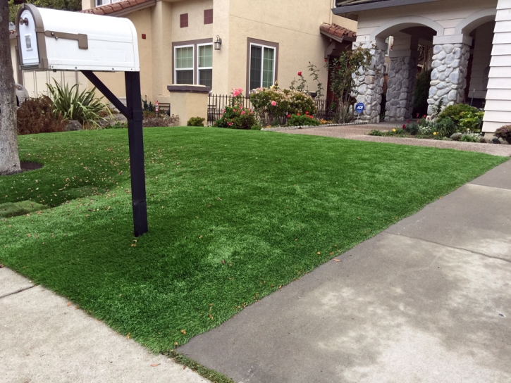 Artificial Turf Placentia California Lawn Back Yard