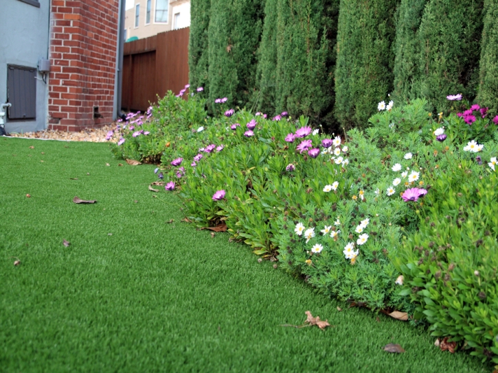 Artificial Turf Redlands California Landscape Front Yard