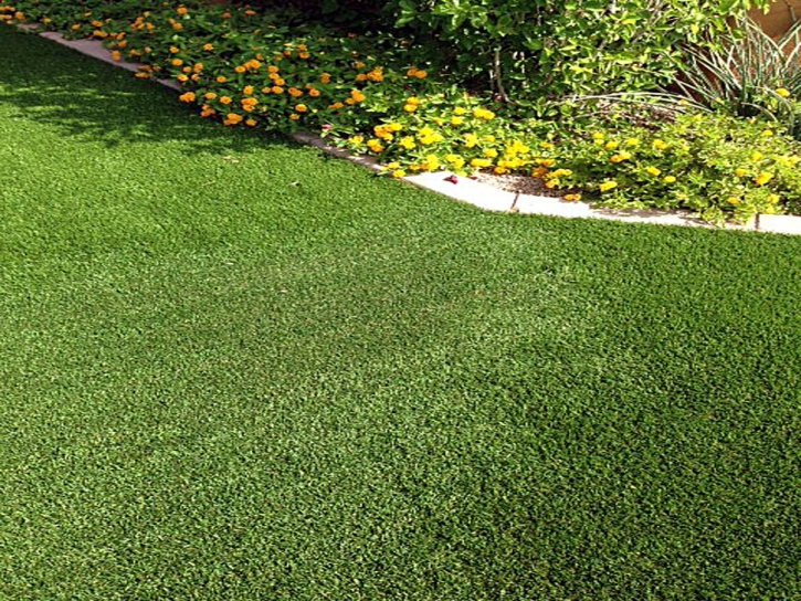 Artificial Turf Seeley California Landscape Pools Back