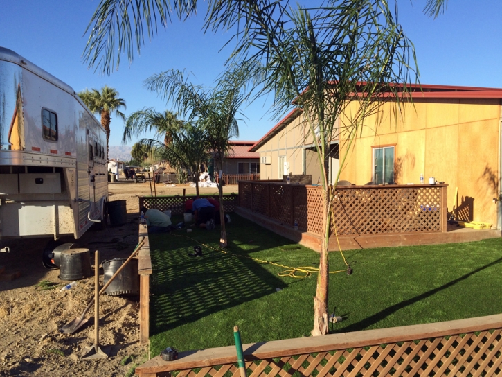 Artificial Turf Villa Park California Landscape Back Yard