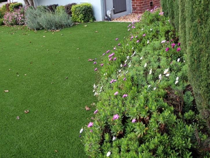 Artificial Turf Westmorland California Landscape Back Yard