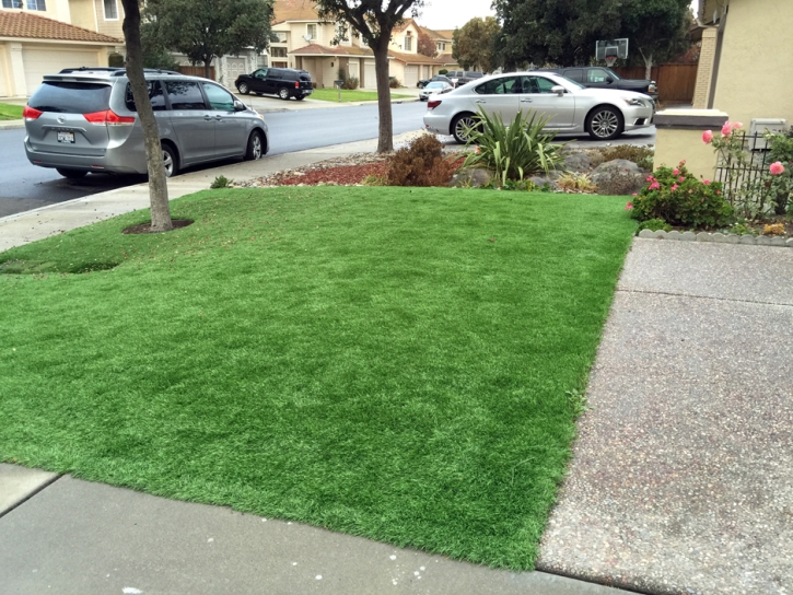 Artificial Turf Yucaipa California Landscape