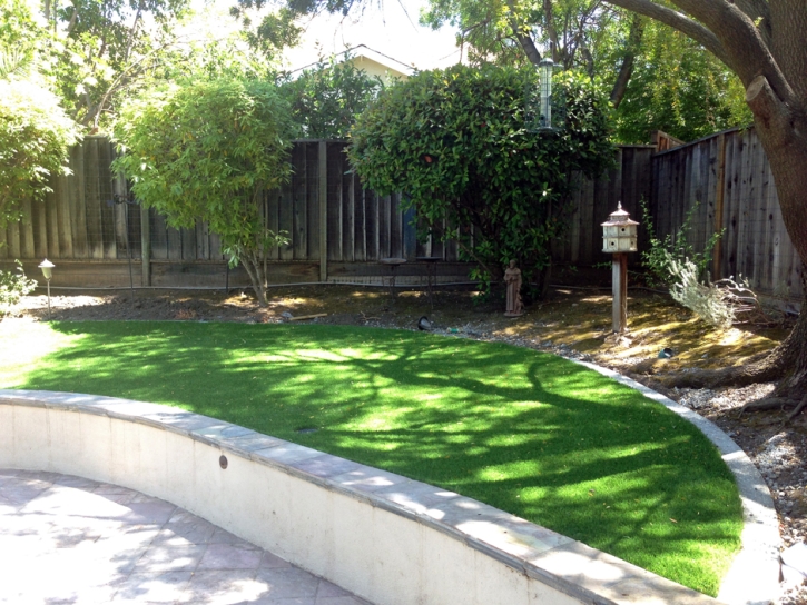 Fake Grass Corona California Lawn Front Yard