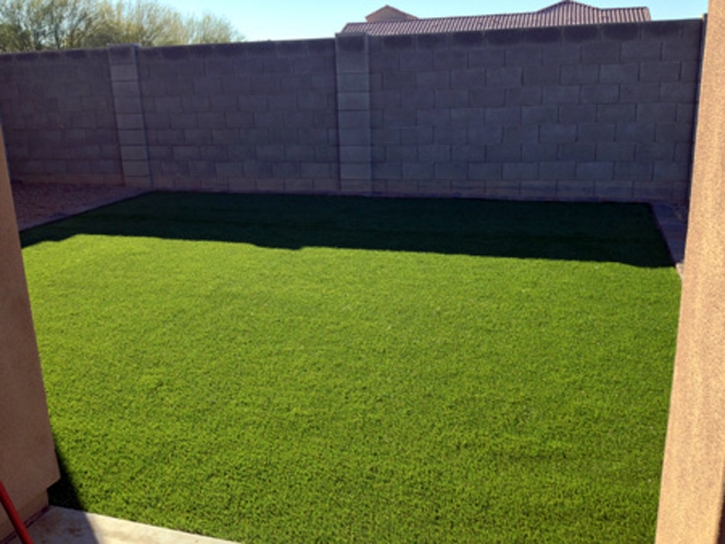 Fake Grass Grand Terrace California Landscape Front Yard