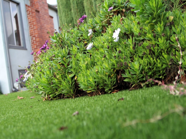 Fake Grass Mortmar California Lawn Front Yard