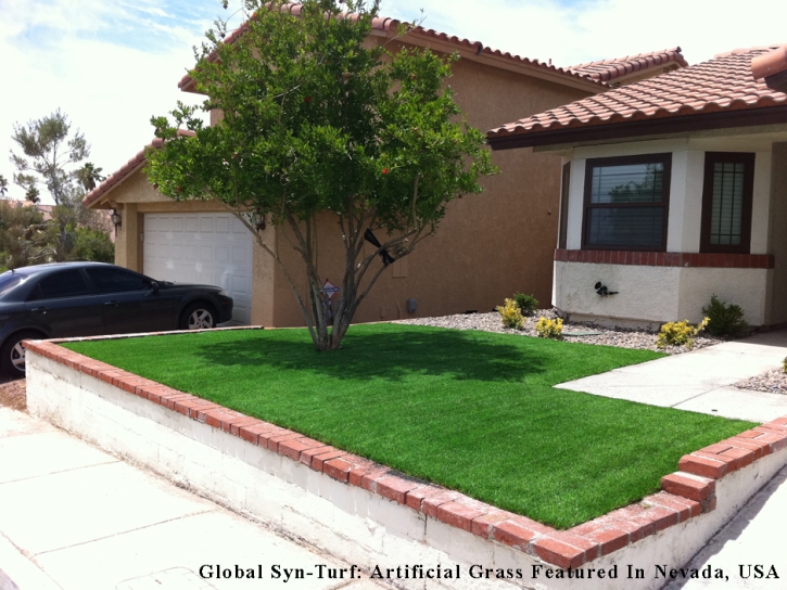 Fake Grass National City California Landscape