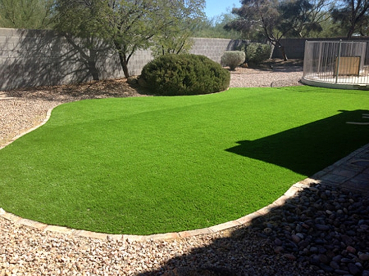 Fake Grass Palm Springs California Landscape Dogs Park