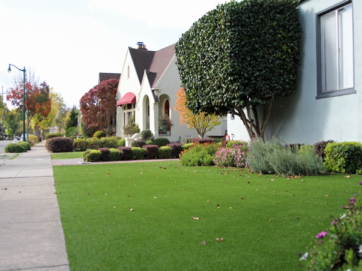 Fake Grass Rossmoor California Lawn Back Yard