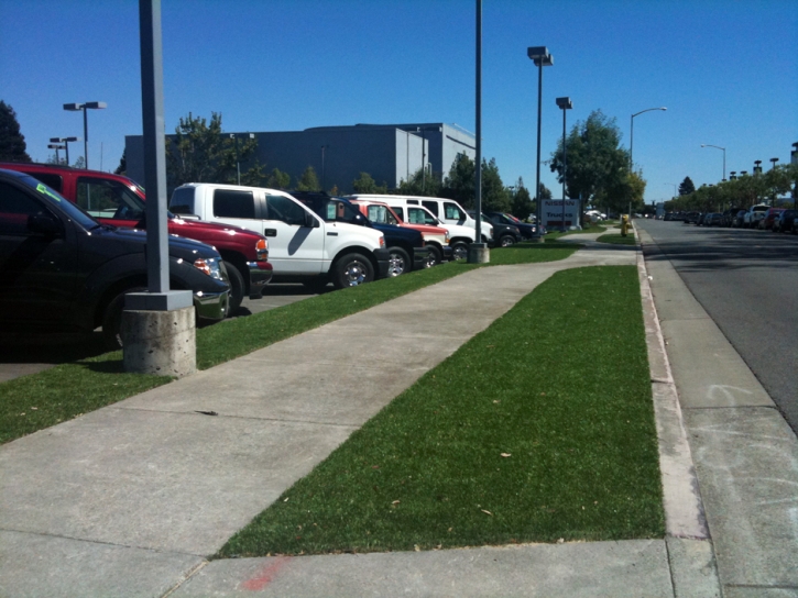 Fake Grass Winter Gardens California Landscape Front Yard