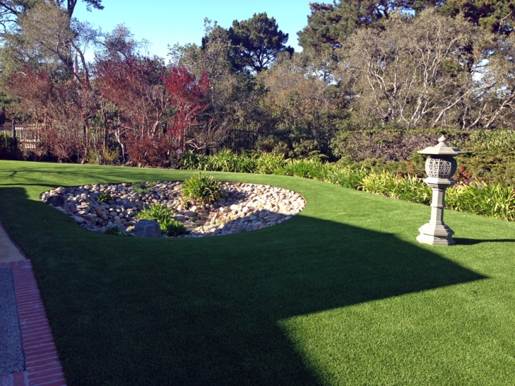 Fake Turf La Jolla California Lawn