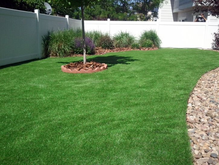 Fake Turf La Jolla California Landscape