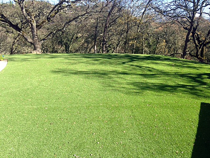 Fake Turf Long Beach California Lawn