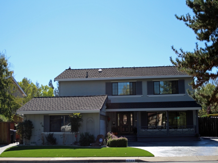 Fake Turf Pedley California Landscape Front Yard