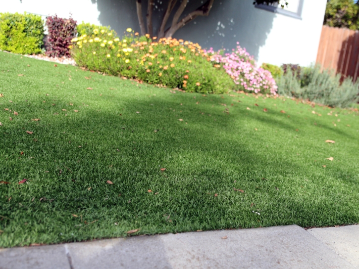 Fake Turf Seal Beach California Landscape Front Yard