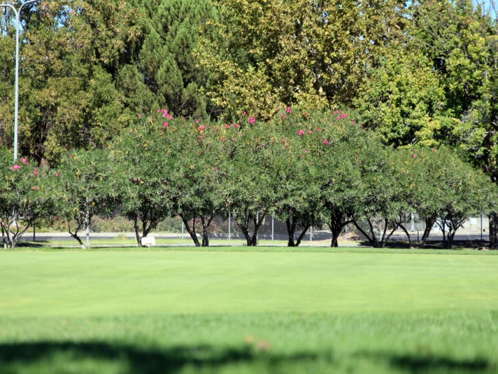 Golf Putting Greens Irvine California Synthetic Turf Back