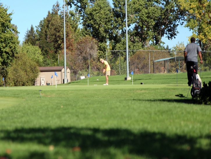 Golf Putting Greens Lakeview California Artificial Turf Back