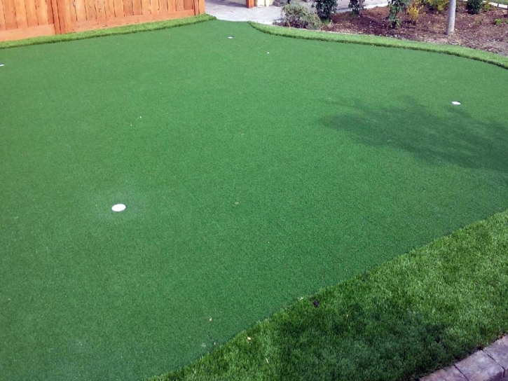 Golf Putting Greens Palm Springs California Artificial Turf